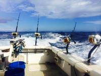  Kauai Fishing